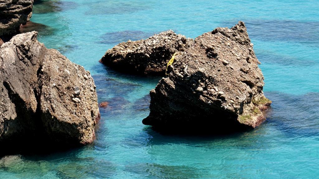 Apartamentos Starnerja En Stella Maris الغرفة الصورة