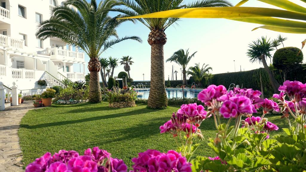 Apartamentos Starnerja En Stella Maris الغرفة الصورة