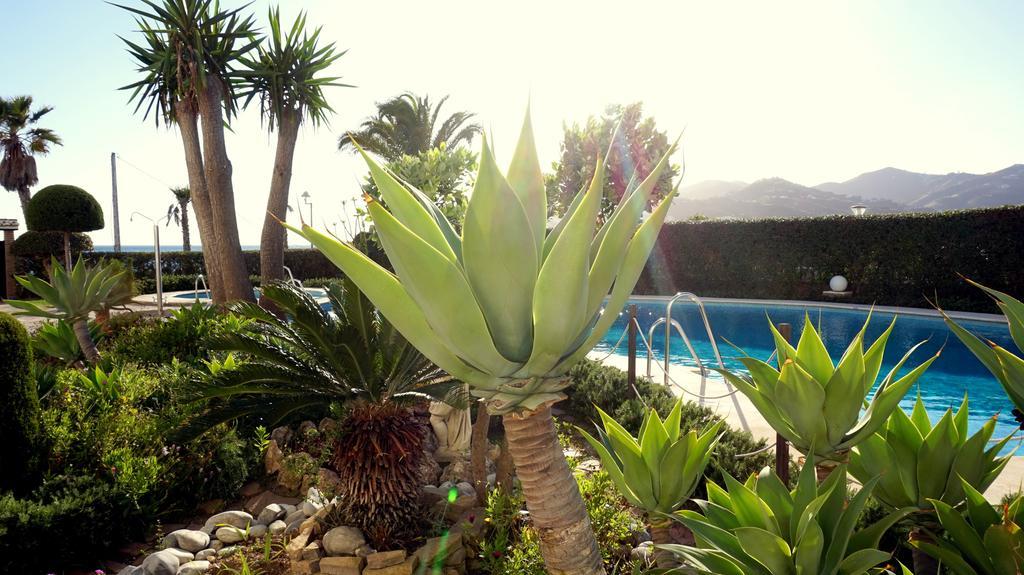 Apartamentos Starnerja En Stella Maris الغرفة الصورة