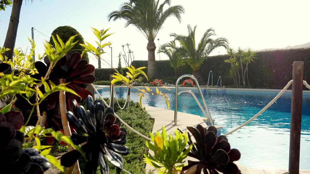 Apartamentos Starnerja En Stella Maris الغرفة الصورة